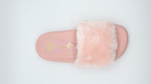 Cargar imagen en el visor de la galería, Cotton Candy